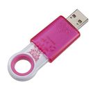 Lady Specified Plastic USB Flash Disk