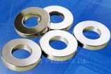 Magnet Ring