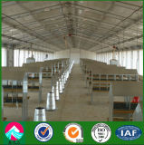 Automatic Poultry Shed Feeding Machinery for Broiler Chicken