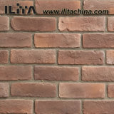 Wall Tile Cast Bricks, Decorative Wall Cladding Material (YLD-10046)
