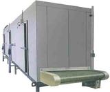 Economy Tunnel Freezer for Chicken