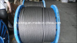 Ungalvanized Wire Rope for Oil Industry