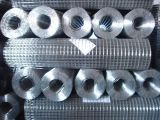 HDG After Welded Wire Mesh