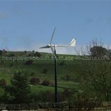 Nps-1kw off-Grid Yawing Three Phase Permanent Magnet Wind Turbine Generator