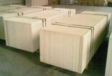 Autoclaved Aerated Concrete Panel