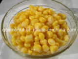 Canned Sweet Corn Kernels with High Quality, Good Taste (HACCP, ISO, KOSHER, HALAL, FDA, BRC)