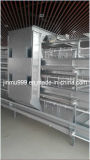 H Type Automatic Chicken Cage System for Poultry Farm
