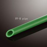 PP-R Pipe and Fittings