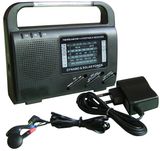 Solar Dynamo Radio (HT-999)