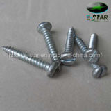 Self Tapping Screw with Slotted Drive