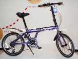 Purple Alloy Folding Bicycle with Middle Stand (SH-FD037)