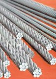 Stainless Steel Wire Rope (7x19)