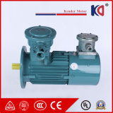 Frequency Conversion Electric Induction Motor
