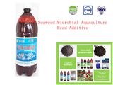 Seaweed Microbial Aquaculture Feed Additive