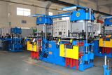 Silicone Rubber Seals Making Machine with CE&ISO9001