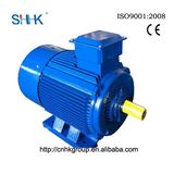 IEC Standard Cheap Electric Motor 80kw