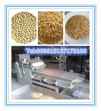 Nuts Processing Machine: Peanut Dicing Machine