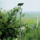 12V Solar LED Garden Lamp/Solar Garden Lighting Pole Light/Solar LED Light