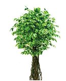 99.99% Similarity Bonsai Artificial Banyan Tree