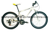 MTB/Mountain Bicycle (MTB-018)