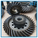 OEM Forged Assembly Bevel Gear