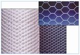 Hexagonal Iron Wire Netting