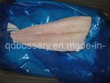 Frozen Catfish Fillet