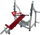 Gym Equipment Olympic Incline Bench (FW-1002)
