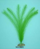 Aquarium Plant (3801)