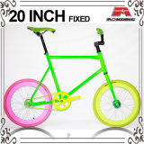 Many Color 20 Inch Fixed Gear Bicycle for Lady (KB-RD20-3)