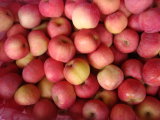 FUJI Apples, Fresh and Sweet
