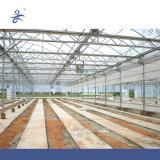 Circulating Fan for Ventilation of Greenhouse