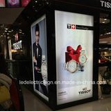 LED Outdoor & Indoor Advertising Display Light Box