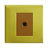 Wall TV Socket with Brass Faceplate