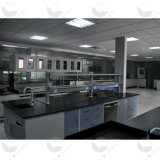 High Quality Steel Lab Bench Certified by CE Used Widely in Different Labs