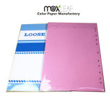 80GSM Filler Paper / Loose Leaf (LL-01)