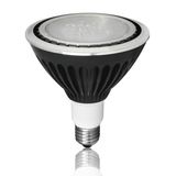 LED Landscape PAR38 Spotlight with IP67