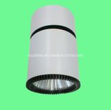 Adjustable and Rotatable LED Ceiling Mounted Light