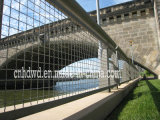 Stainless Steel Fencing Belt Various Specifications
