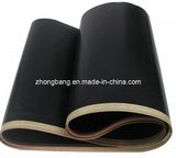 PTFE Sealing Seamless Belt