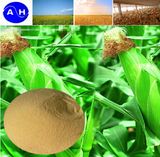 Water Soluble Amino Acid Fertilizer (amino acid protein powder)