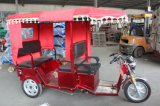Yufeng 052 Tricycle for Adults