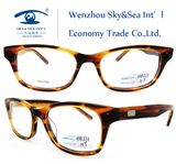 Famous Brands Glasses Optical Eyewear (HM271)