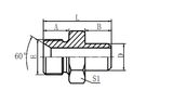 Hydraulic Fitting 1BW