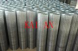Galvanized Welded Wire Mesh