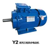 Y2 Series Three Phase Induction Motor