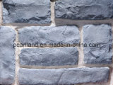 Building Decoration Artificial Culture Stone (ASC-0221-B01-1)