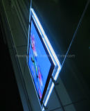 Double Side LED Slim Light Box with Magnetic Open (CDH03-A4P-05)