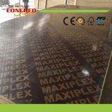 Korinplex Film Faced Plywood, Film Faced Plywood