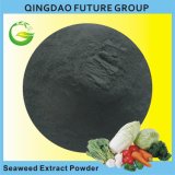 Bio Soluble Seaweed Extract Powder, Alga Powder Fertilizer
